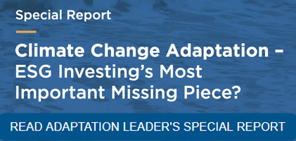 Adaptation Report Sample Adaptation Leader - Sample New Home Page - 4 across - Adaptation Leader